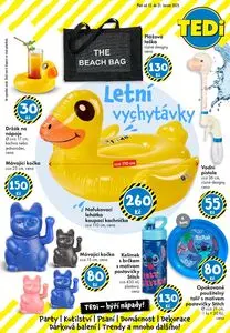 Akční leták TEDi, platný od 2025-06-13 do 2025-06-21.