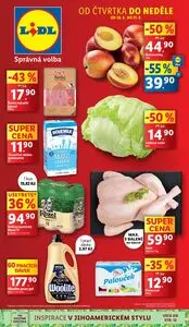 Akční leták LIDL, platný od 2025-08-28 do 2025-08-31.