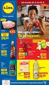 Akční leták LIDL, platný od 2025-09-25 do 2025-09-27.