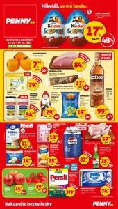 Akční leták PENNY, platný od 2025-11-13 do 2025-11-19.