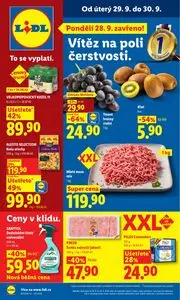 Akční leták LIDL, platný od 2026-09-29 do 2026-09-30.