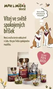 Akční leták LIDL, platný od 2026-10-12 do 2026-10-18.